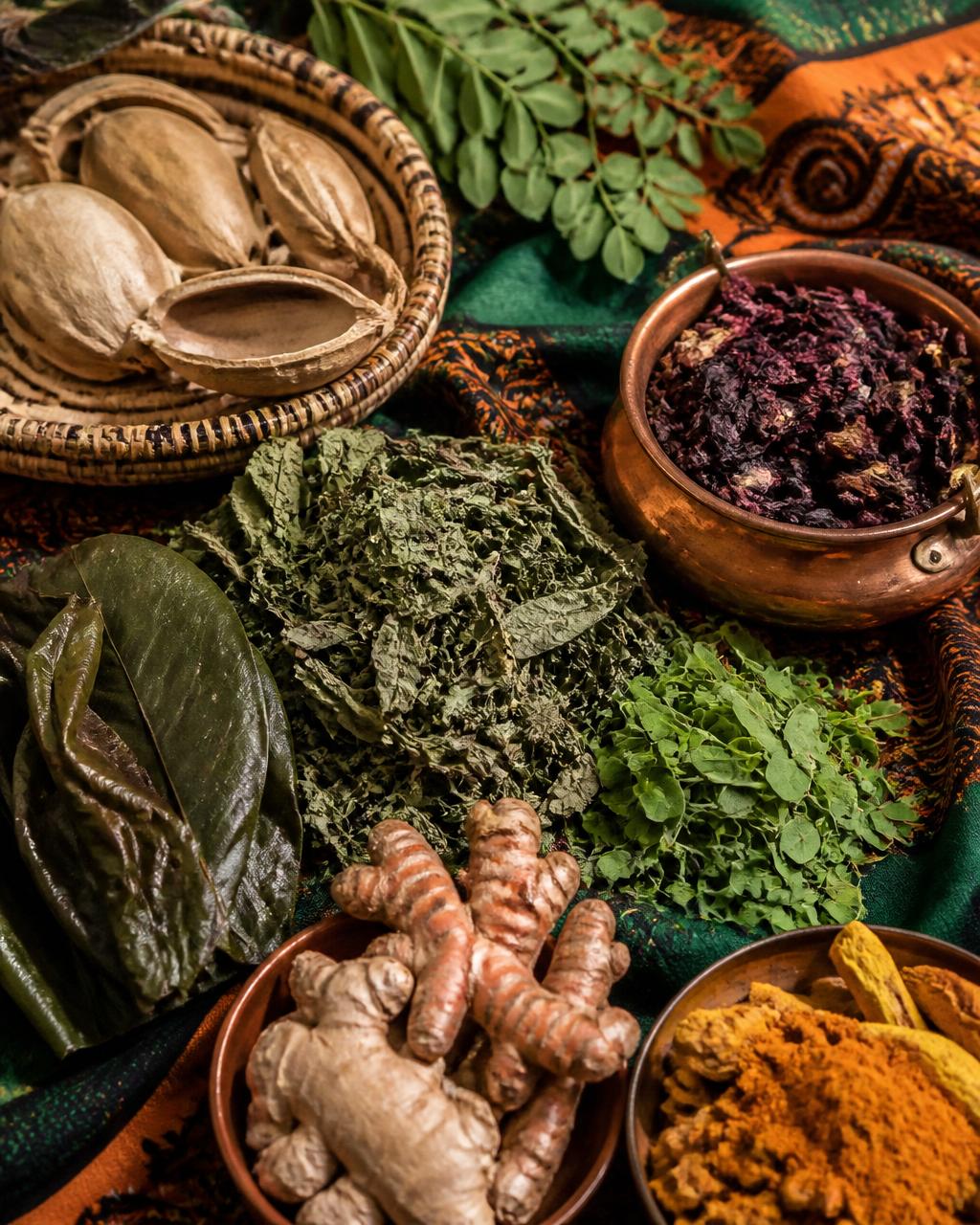 Premium Zambian botanicals on chitenge fabric — moringa, hibiscus, baobab, turmeric